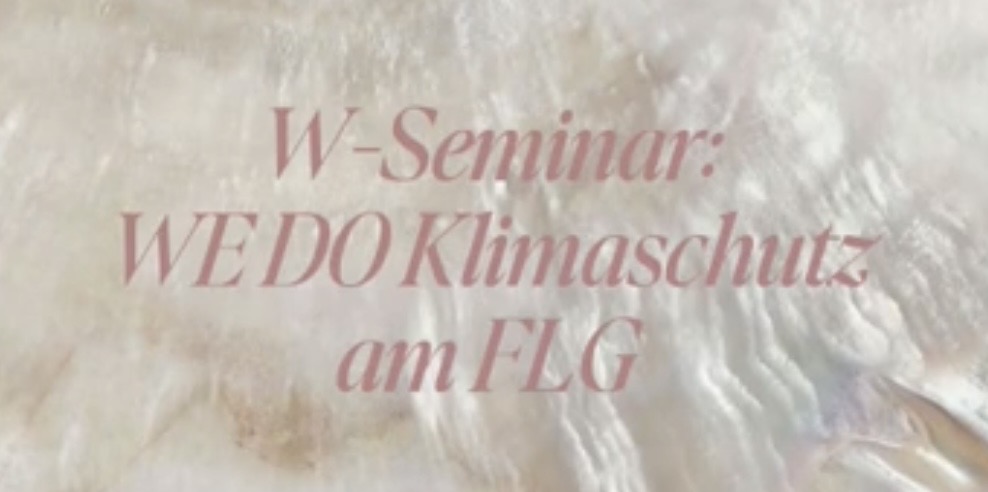 Aus alt mach WOW: Projekt im W-Seminar „WE DO Klimaschutz“